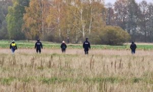 policjanci podczas poszukiwań przeszukują łąki