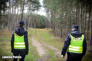 umundurowani policjanci w lesie